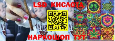 тгк Дмитров